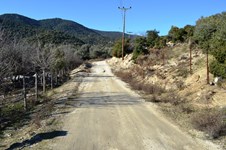 Property 8476 photo 6