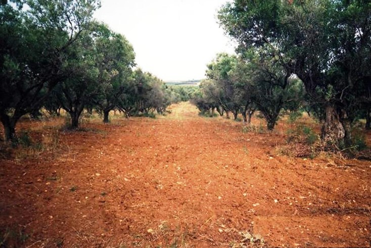 Realty photo 1