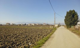 հողատարածք 7000 m² Օլիմպիական Րիվիերայում