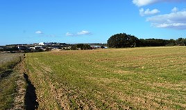Terrain 5800 m² dans la banlieue de Thessalonique
