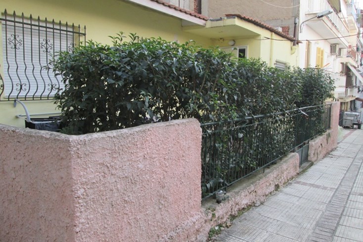 Realty photo 1