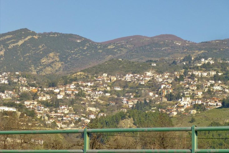 Realty photo 1