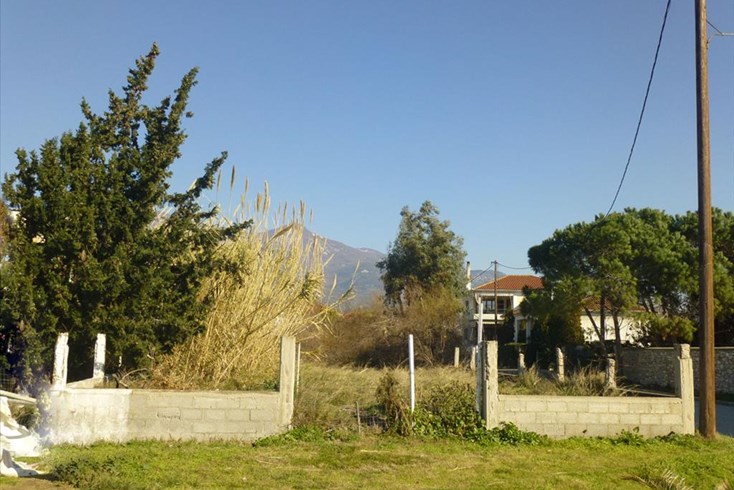 Realty photo 3