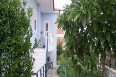 Property 855 photo 3