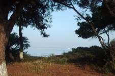 Property 8550 photo 17