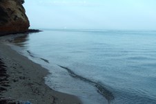 Property 8550 photo 23