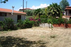 Property 8550 photo 13