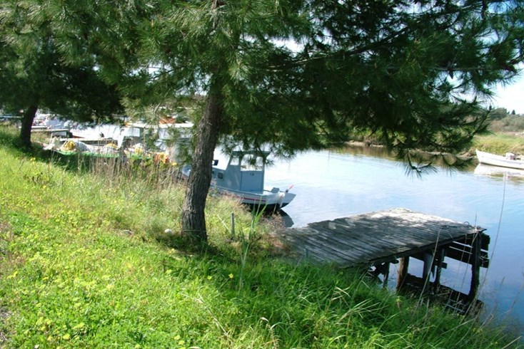 Realty photo 3