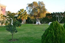 Property 8652 photo 3