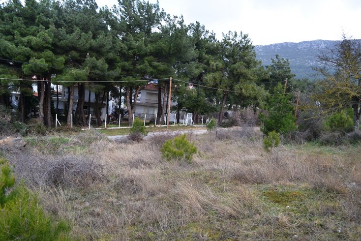 Realty photo 1