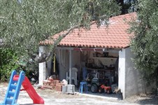 Property 867 photo 4