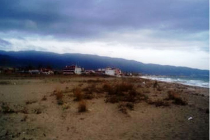 Realty photo 1