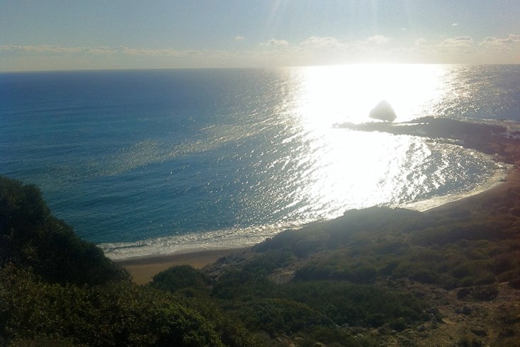 Realty photo 3