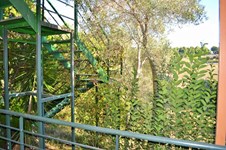 Property 8730 photo 17