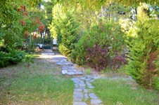Property 8730 photo 19