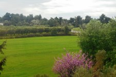 Property 8730 photo 18