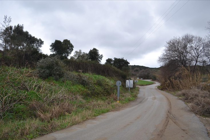 Realty photo 3