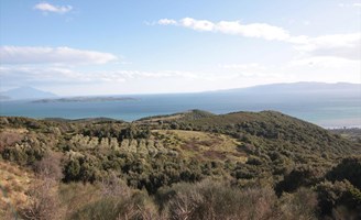 Arsa 12000 m² Athos’da (Chalkidiki)