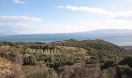 Land 12000 m² auf Athos (Chalkidiki)