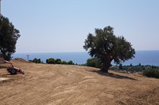 Property 876 photo 42