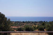 Property 876 photo 41