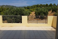 Property 876 photo 45