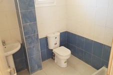 Property 876 photo 19