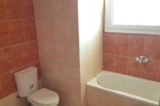 Property 876 photo 18