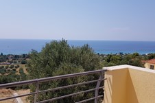 Property 876 photo 35