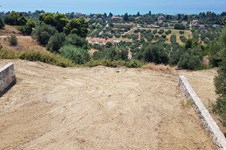 Property 876 photo 40