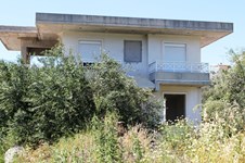 Property 8777 photo 2