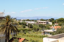 Property 8777 photo 18