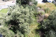 Property 8777 photo 23