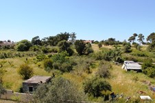 Property 8777 photo 25