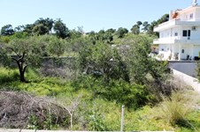 Property 8777 photo 26