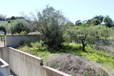 Property 8777 photo 27