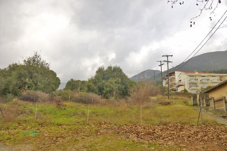 Realty photo 2