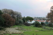 Property 8784 photo 5