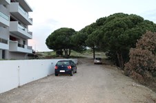 Property 8784 photo 6
