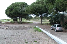 Property 8784 photo 7