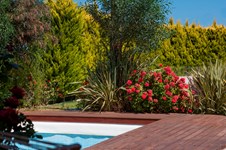 Property 8789 photo 15