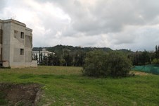 Property 8795 photo 12