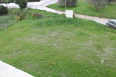 Property 8795 photo 18