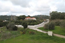 Property 8795 photo 19