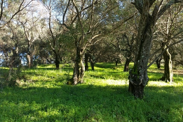 Realty photo 2