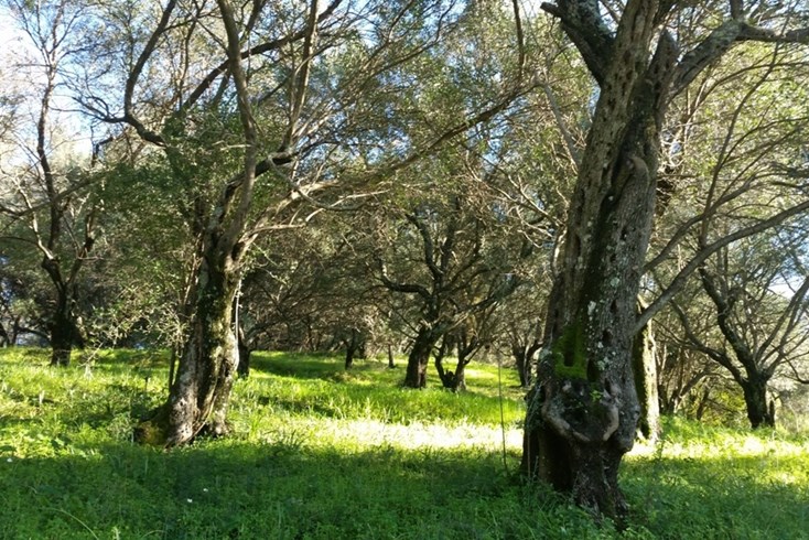 Realty photo 3
