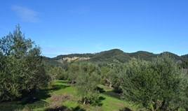 Land 27000 m² in Corfu