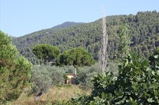 Property 88 photo 16