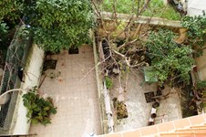 Property 8804 photo 16