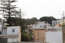 Property 8804 photo 17